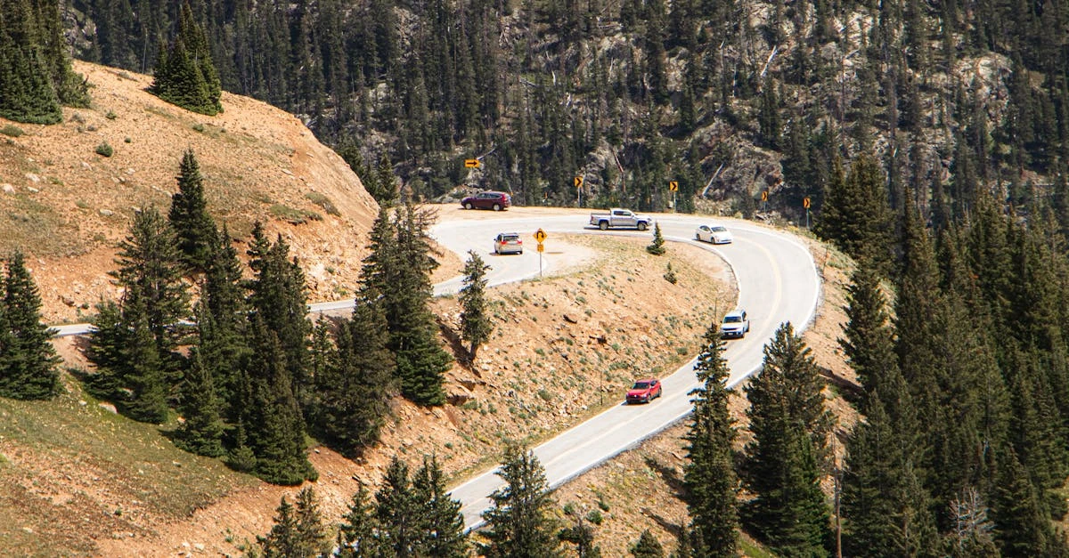 5 dicas essenciais para entender o conceito de rifei co