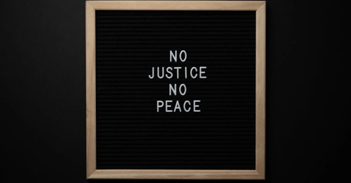 5 passos práticos para uma ação solidaria de sucesso e impacto