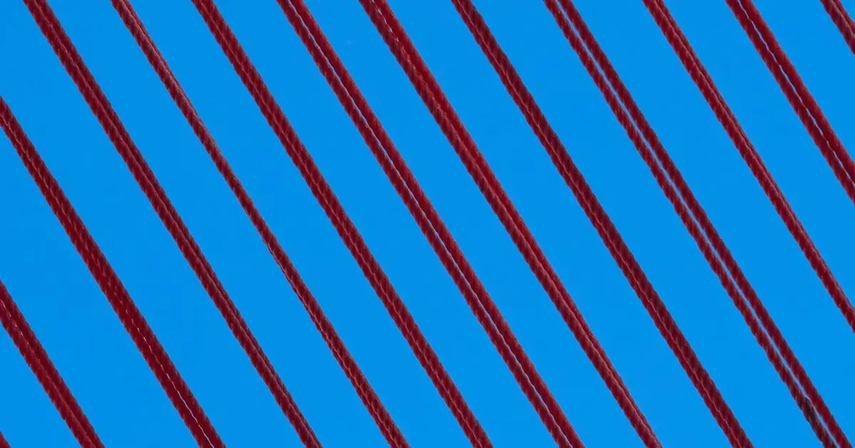 A Importância de um Site Profissional para suas Rifas