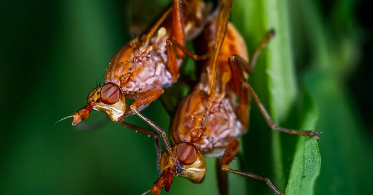 Como Criar Rifas que Promovem a Conscientização sobre Saúde Reprodutiva: Dicas e Estratégias