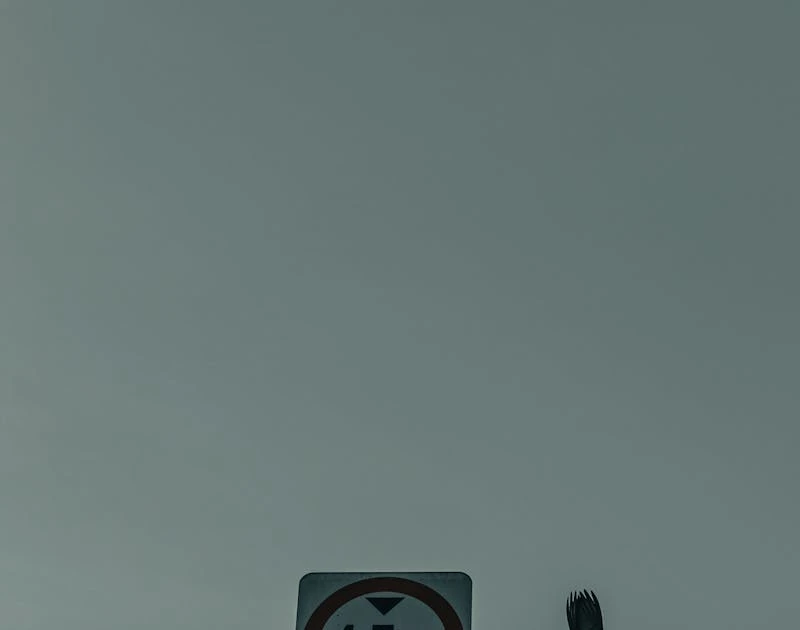 Como regulamentar rifa: Guia Prático de 2024