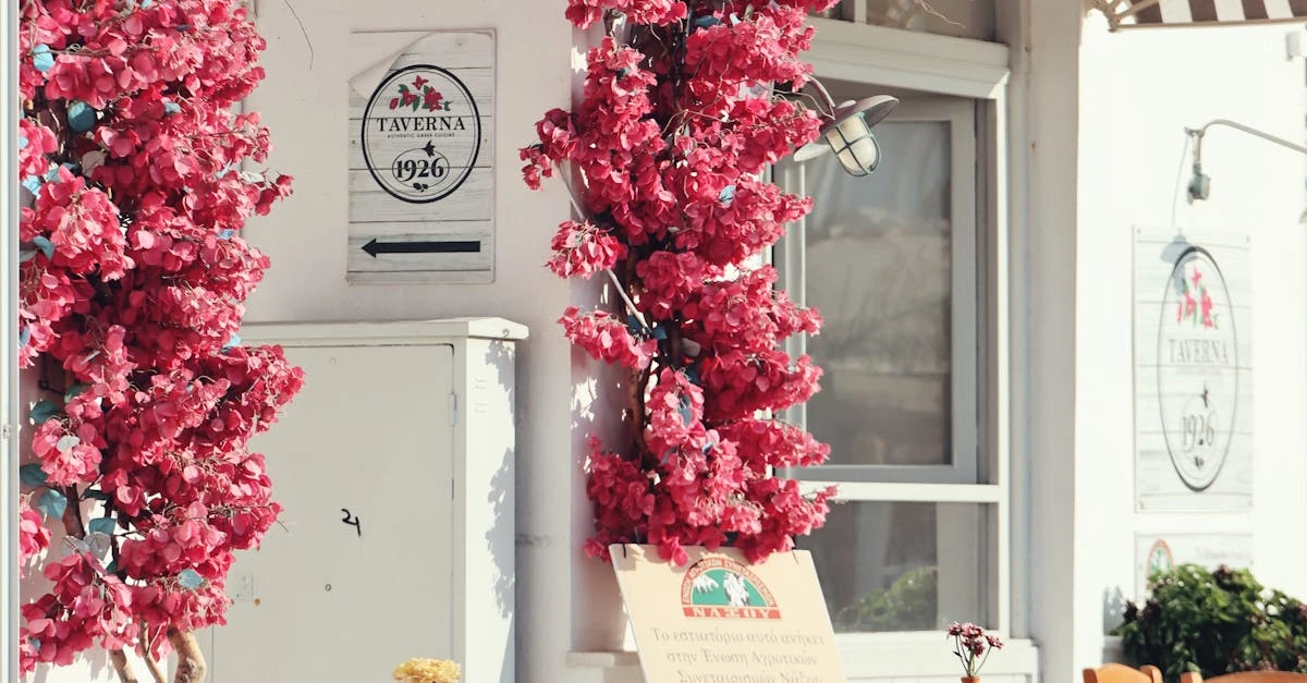 Como Criar Rifas para Editar em 2024