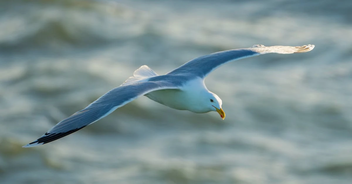 Descubra Como Realizar uma Rifa Online Sem Custos de Forma Eficaz ⎯ Foto: Raul Koženevski/Pexels