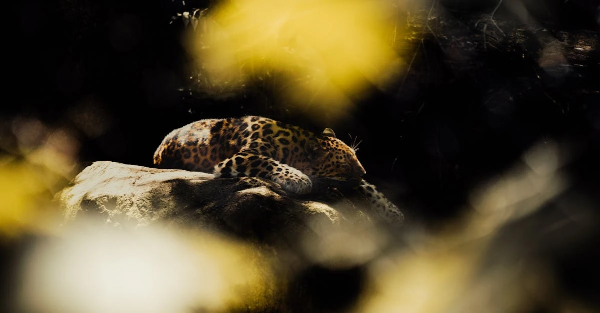 Quais os dias da Loteria Federal em 2024?