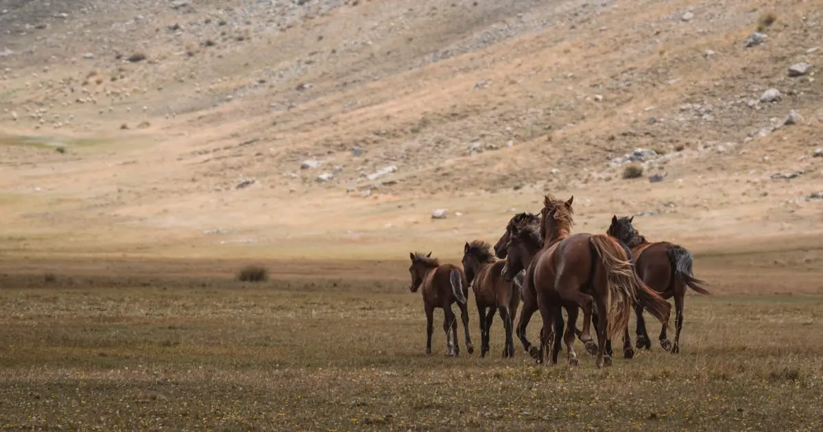 Dicas para Criar Rifas com Produtos de Cuidados com a Pele Naturais