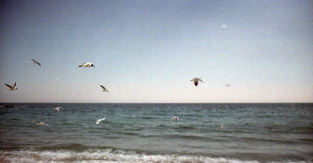 Descubra como fazer uma rifa online gratuitamente e fácil ⎯ Foto: Victoria Gee/Pexels