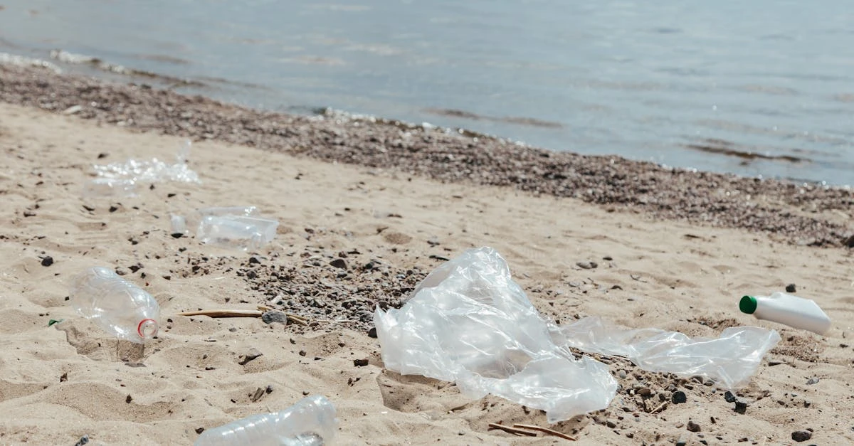 10 ideias de cestas para rifar em 2024