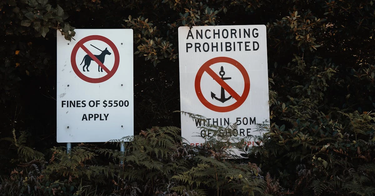 Não Perca: Entenda Por Que a Rifa Não É Permitida e As Soluções ⎯ Foto: Gilberto Olimpio/Pexels