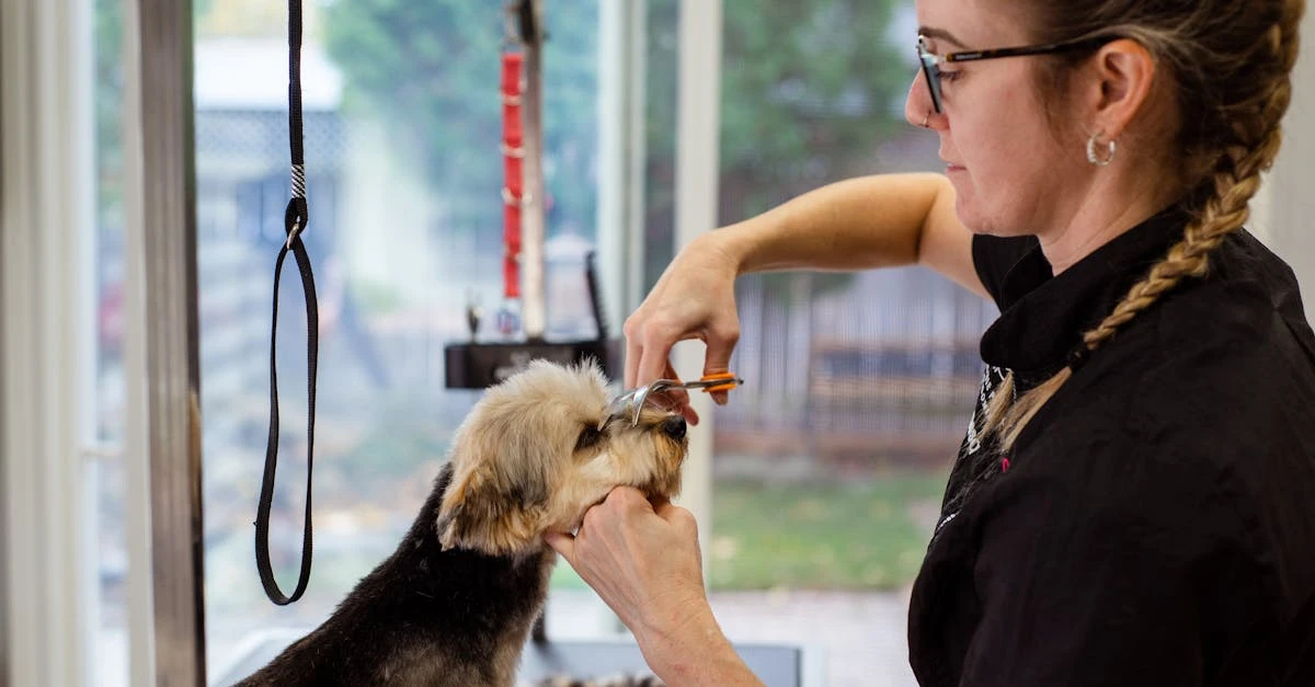 Rifa de Bicho Personalizada: como organizar em 2024