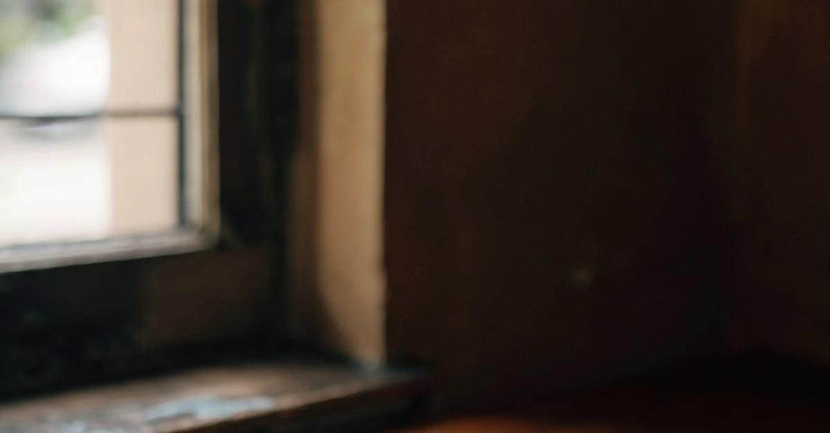 Como organizar uma rifa digital eficiente em 2024