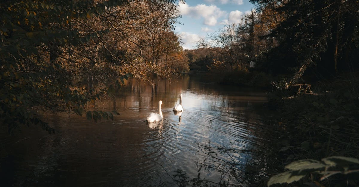 Qual é o melhor site para fazer rifa online de graça? Descubra aqui! ⎯ Foto: İnci/Pexels