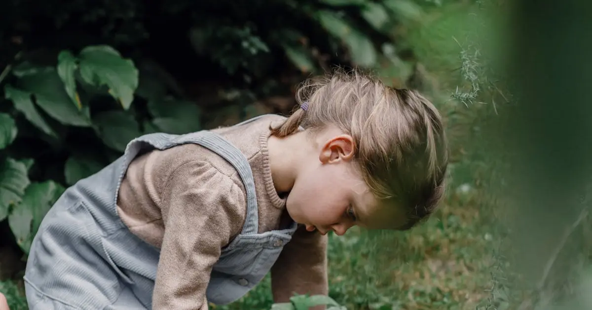 Quanto Custa Uma Rifa?
