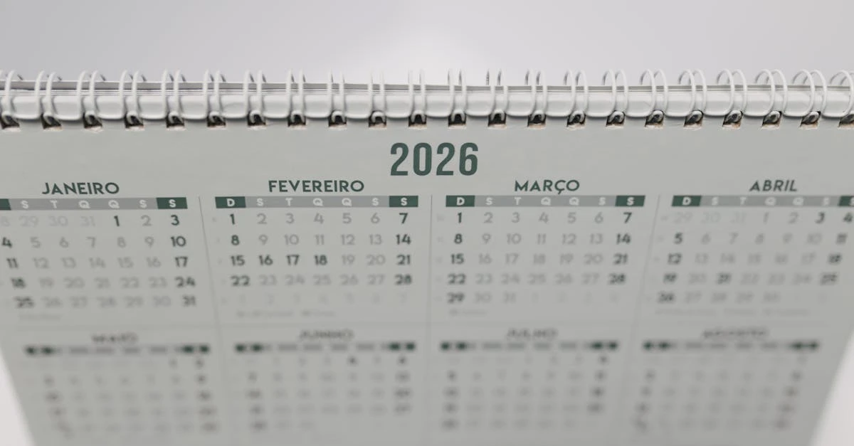 Rifa com 200 números: descubra como organizar com sucesso ⎯ Foto: Matheus Bertelli/Pexels