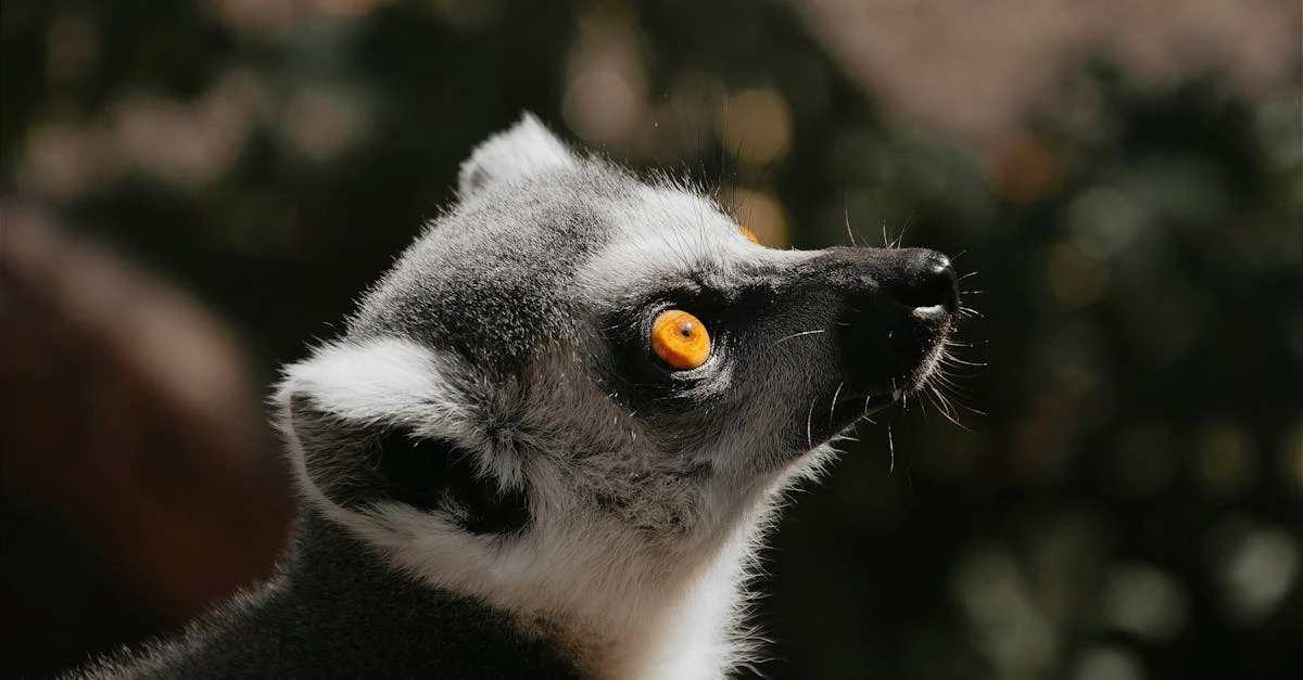 Desafios comuns em rifas e sorteios entre amigos