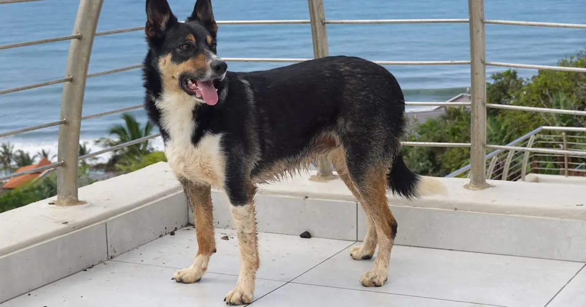 Rifas como Estratégia de Fidelização de Clientes: Como Implementar e Obter Resultados