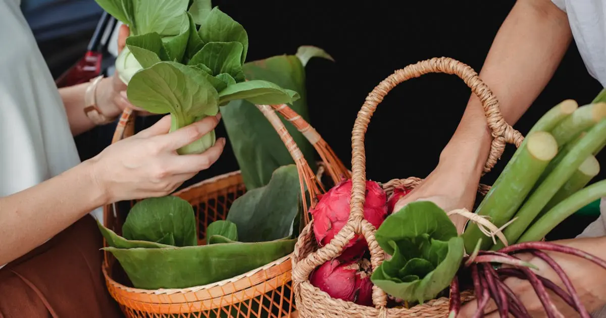 Rifas e Festivais de Gastronomia Vegana: Engajando a Comunidade em Degustações e Workshops