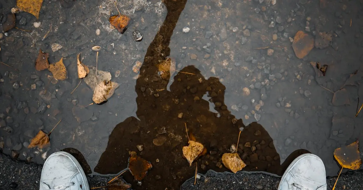 Rifas e Workshops de Fotografia: Engajando Amadores e Profissionais