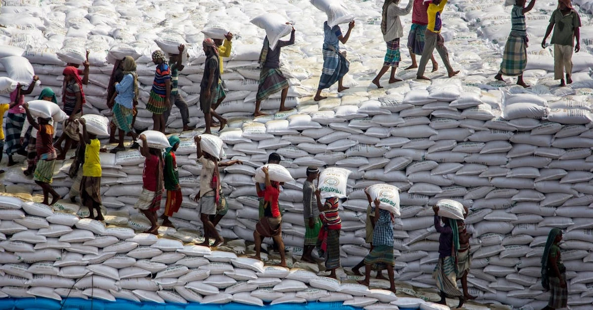 Rifas de Grupo Personalizada: Como Organizar em 2024