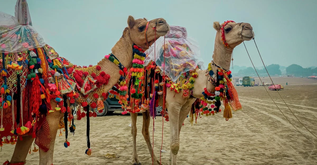 Sistema de sorteio de rifas: como garantir resultados justos ⎯ Foto: Endiae Genius/Pexels