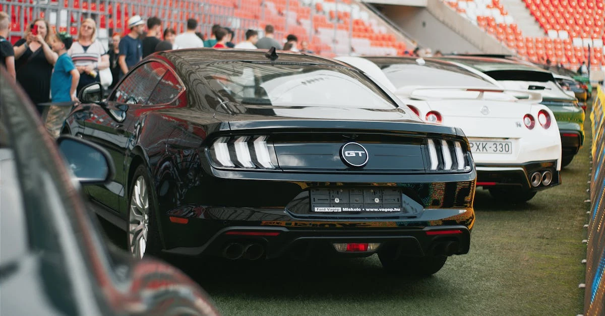 Como usar um sorteador de duplas para eventos esportivos em 2024