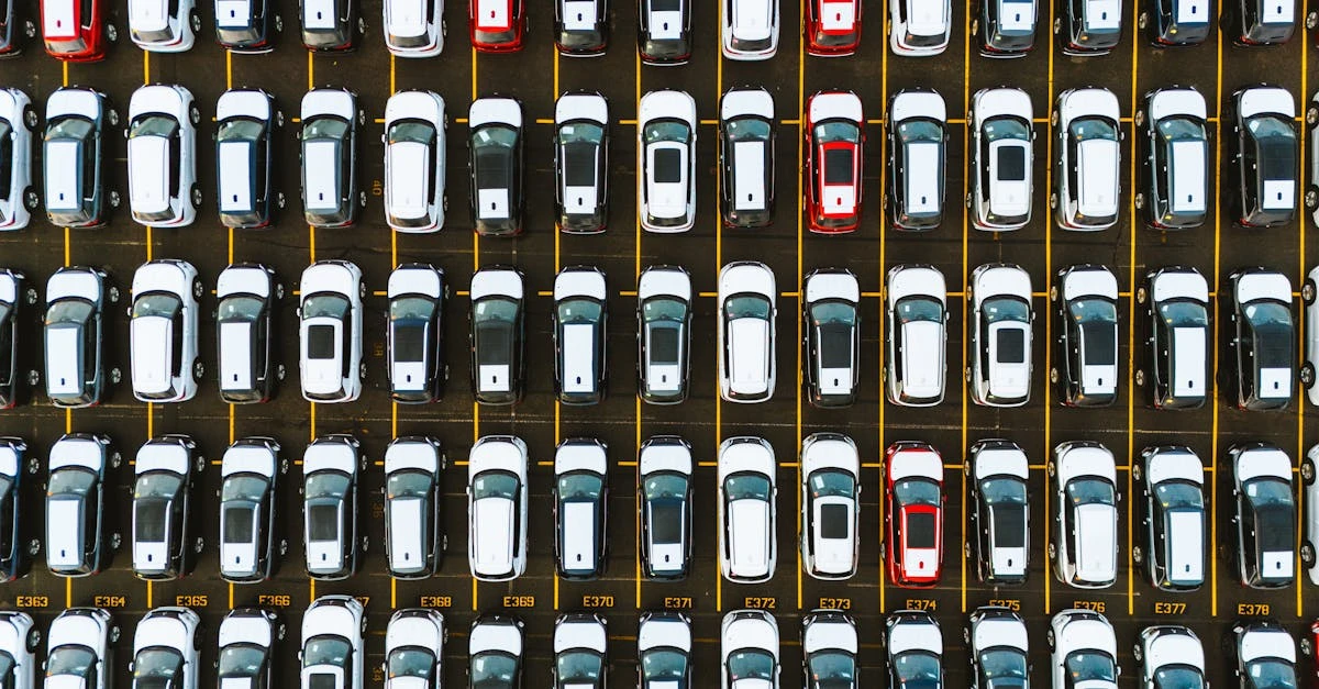 Dicas valiosas: Sugestões para organizar rifas com prêmios pequenos ⎯ Foto: Luke Miller/Pexels